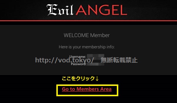 イービルエンジェル（Evil Angel)はおすすめのニューハーフ月額動画サイトなのか？