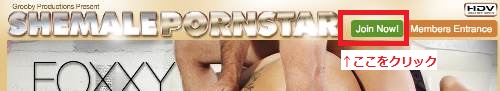 Shemale Pornstar,評価,入会方法,安全